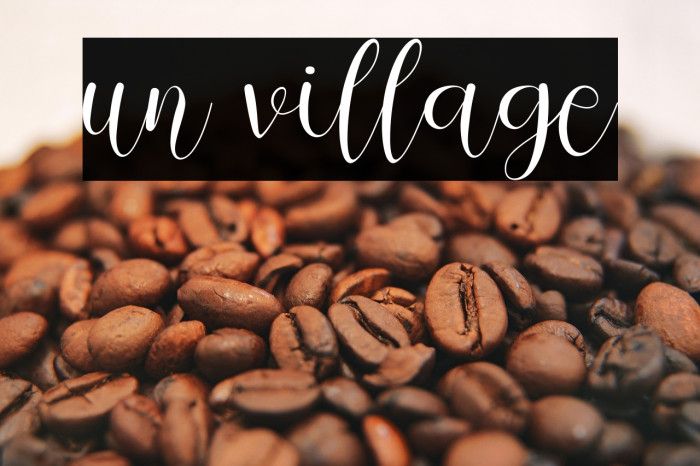 un village Example 1