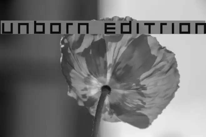 unborn editrion Font examples