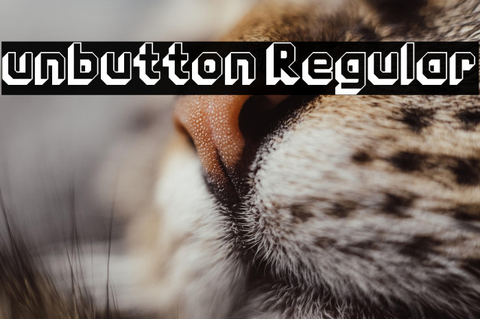 unbutton Regular Example 3