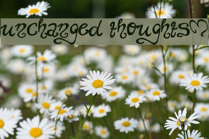 unchanged thoughts$ Font examples
