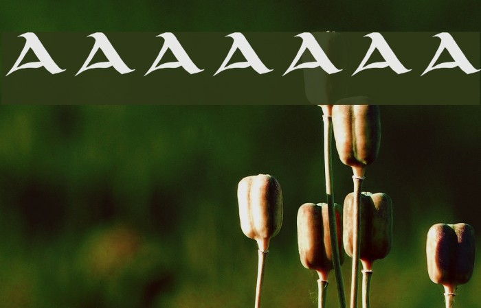 unciaal Font examples