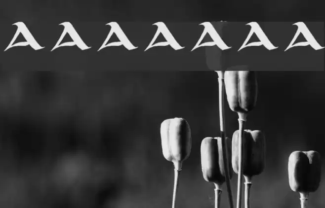 unciaal フォント examples