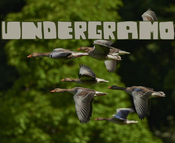undergramo Font examples