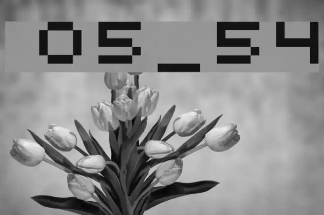 uni 05_54 Schriftart examples