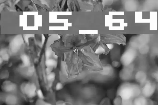 uni 05_64 Font examples