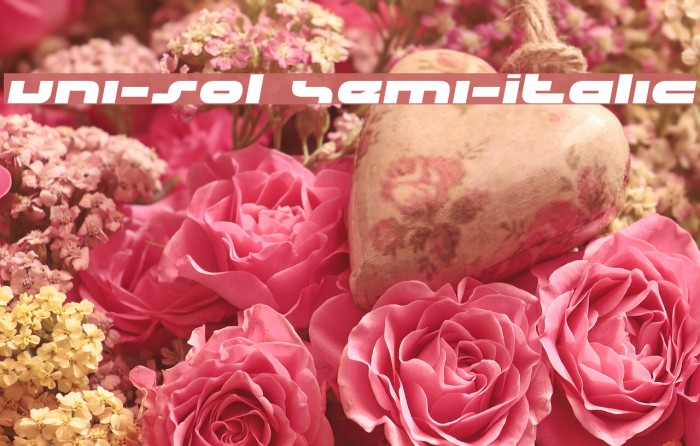 uni-sol Semi-Italic Example 1