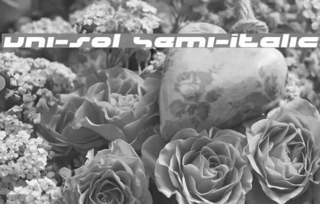 uni-sol Semi-Italic Font examples