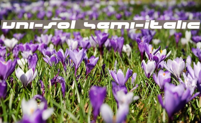 uni-sol Semi-Italic Example 3