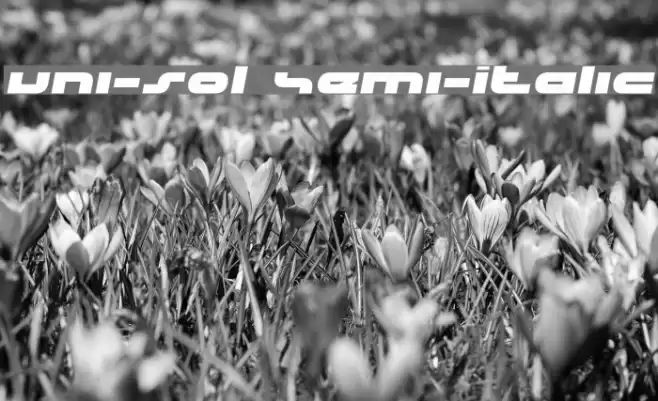 uni-sol Semi-Italic Font examples