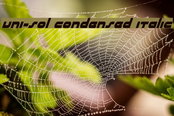 uni-sol condensed italic Font examples