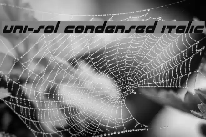 uni-sol condensed italic Polices examples