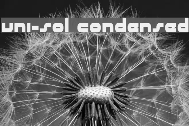 uni-sol condensed Font examples