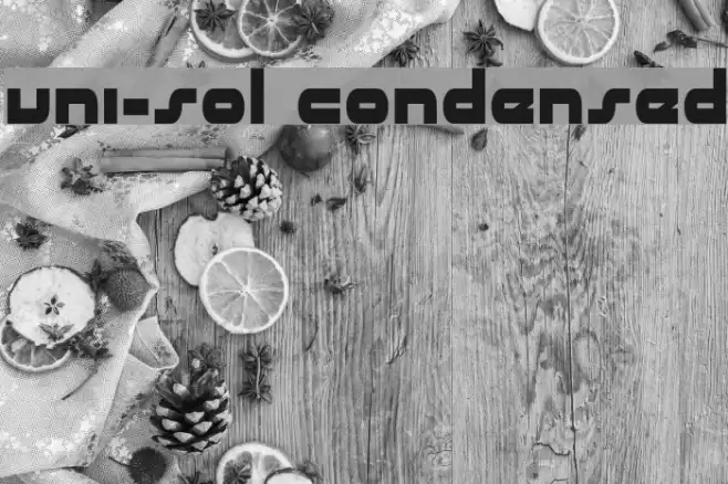 uni-sol condensed Font examples