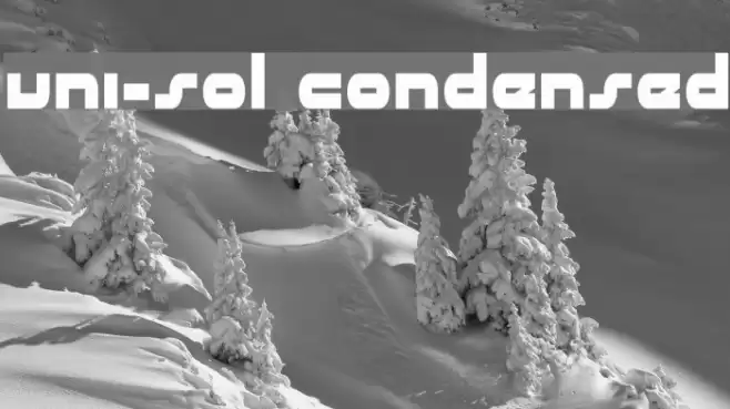 uni-sol condensed Font examples