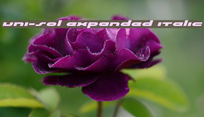 uni-sol expanded italic Font examples