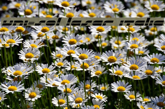 uni-sol laser italic Polices examples
