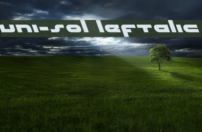 uni-sol leftalic Font examples
