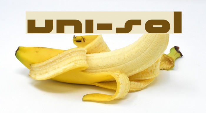 uni-sol Font examples