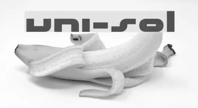 uni-sol フォント examples