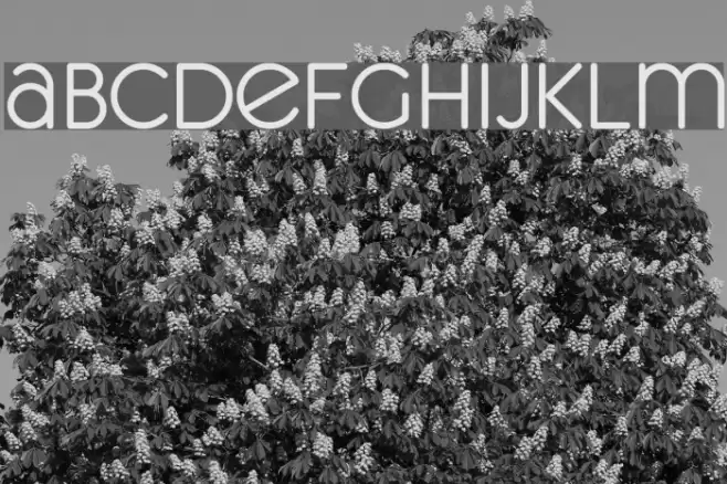 unifur Fuentes examples