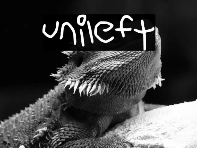 unileft Font examples