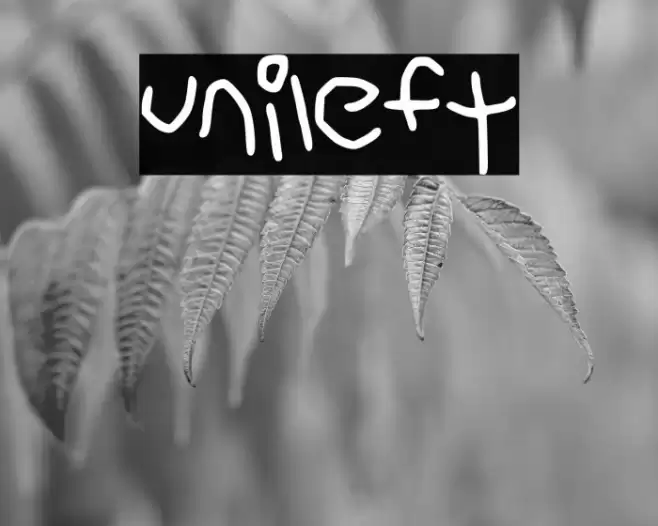 unileft Font examples