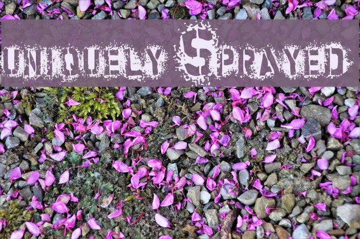 uniquely Sprayed Font examples