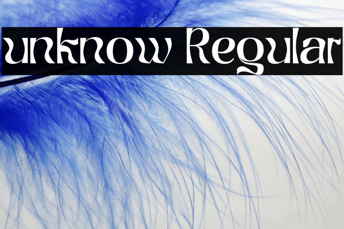 unknow Regular Example 2