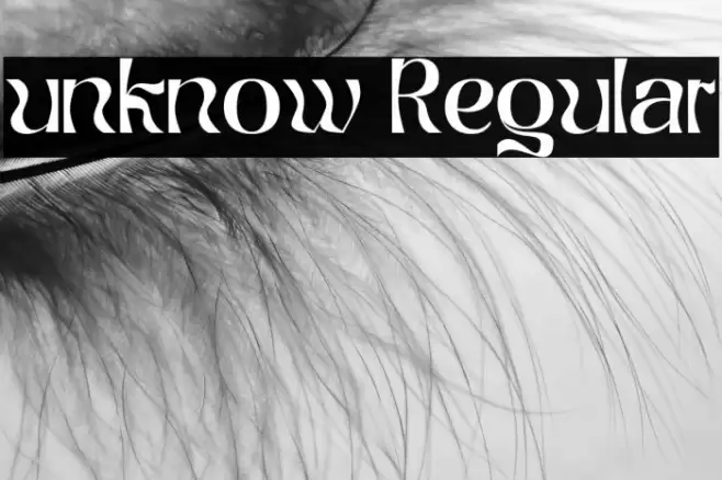 unknow Regular Caratteri examples