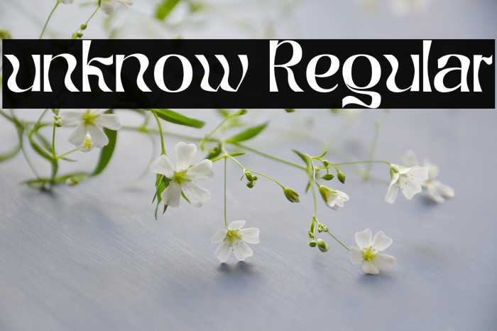 unknow Regular Example 3