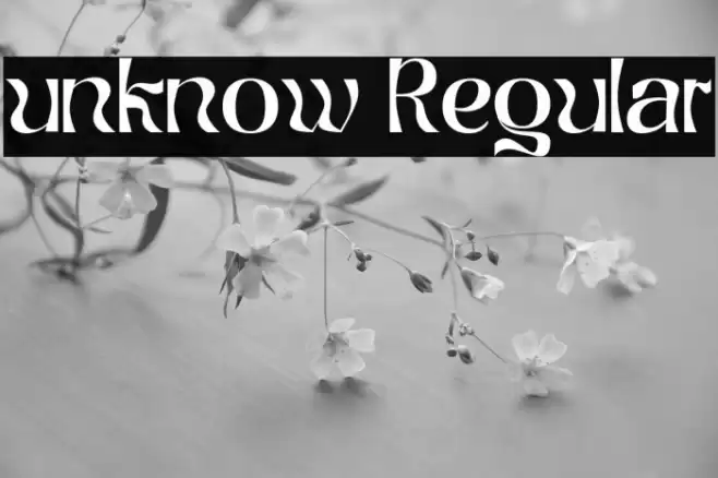 unknow Regular Caratteri examples