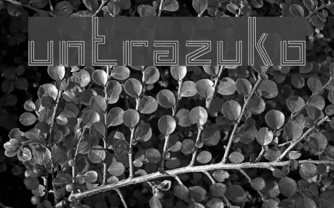 untrazuko Font examples