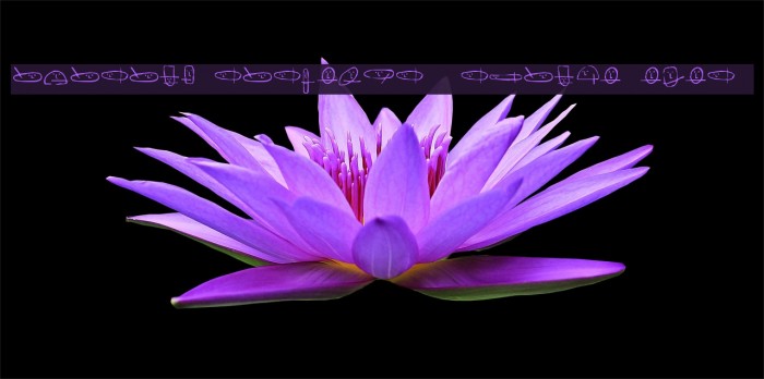 unusual suspects [ square eyes ] Example 3