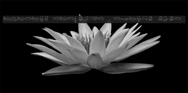 unusual suspects [ square eyes ] Font examples