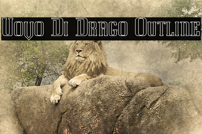 Uovo Di Drago Outline Example 3