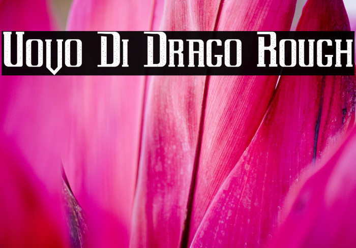 Uovo Di Drago Rough Example 3