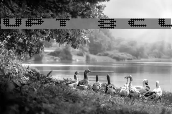 UP Tiny lcd four 8 decoC Light Schriftart examples