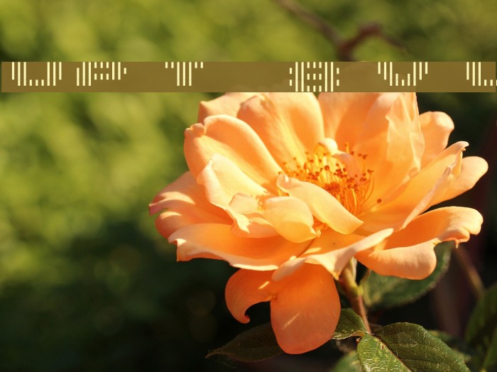 UP Tiny lcd four 8 decoV Light Font examples