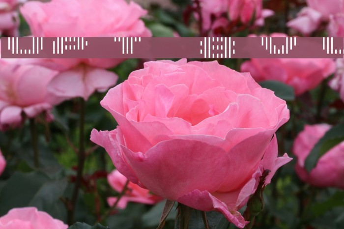 UP Tiny lcd four 8 decoV Light Font examples