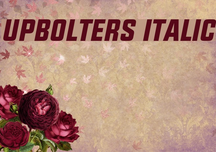 UPBOLTERS Italic Font examples