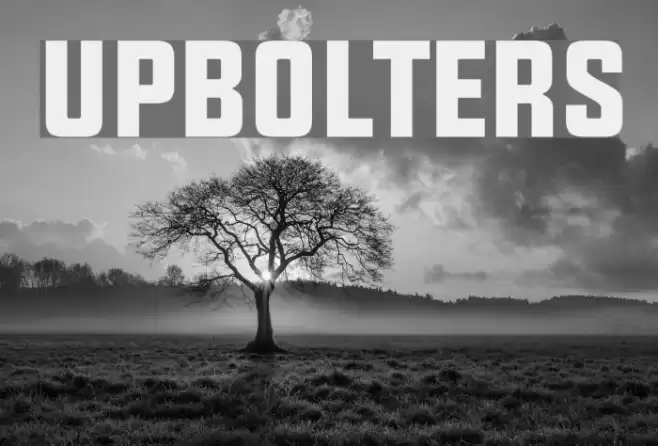 UPBOLTERS Font examples