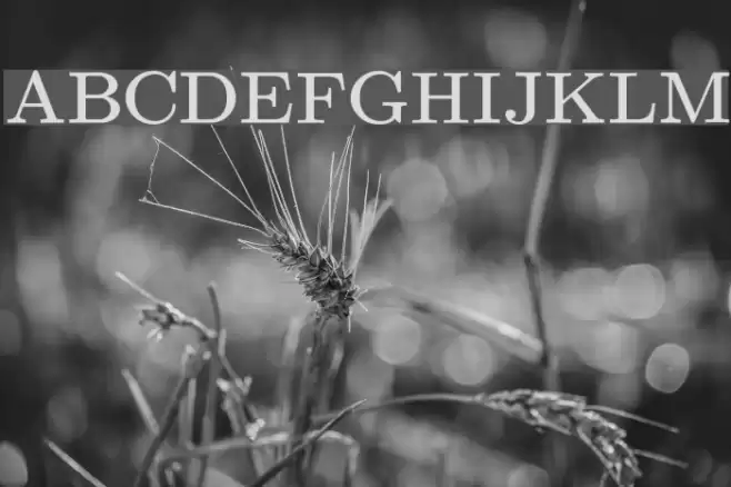 UPPERCASE & lowercase  examples