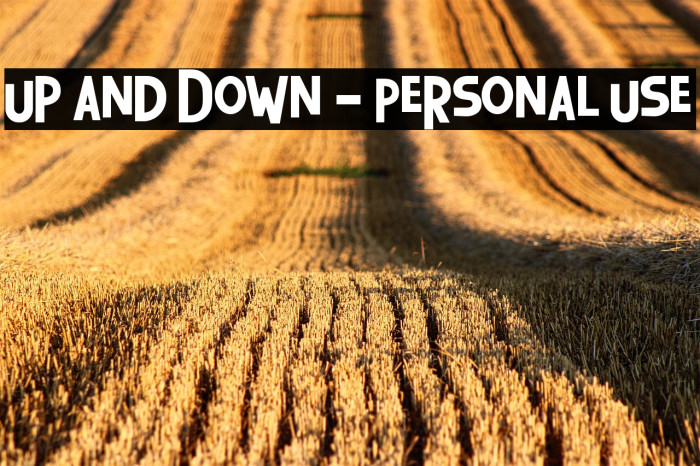 Up and Down - Personal Use Example 3