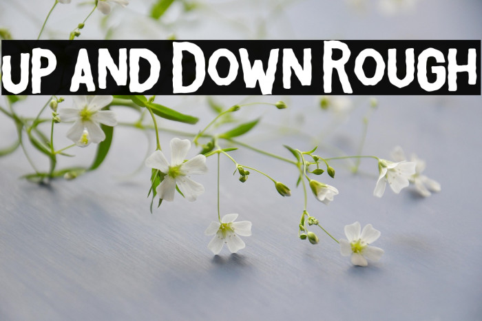 Up and Down Rough Example 1