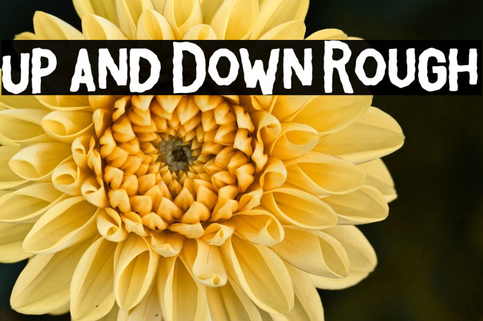 Up and Down Rough Example 3