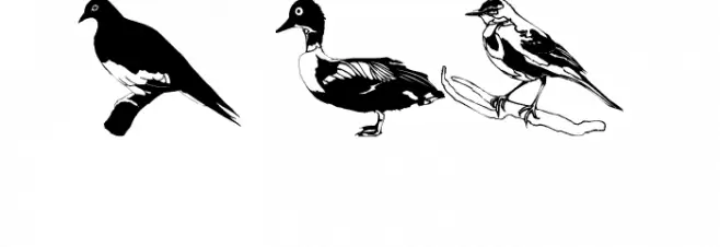 UpUpAndAway Font OTHER CHARS