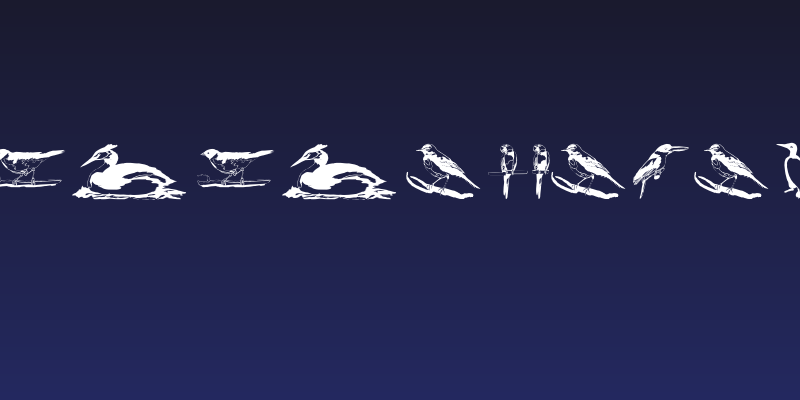 UpUpAndAway Social Header