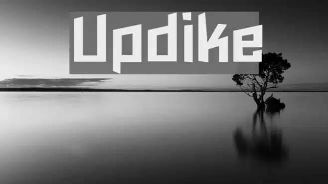 Updike Font examples