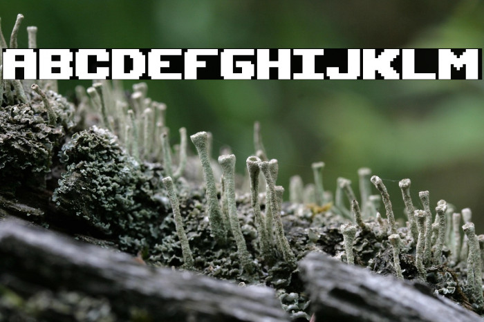 Upheaval TT (RUS BY LYAJKA) Example 1