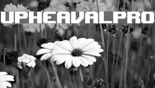 UpheavalPro Font examples